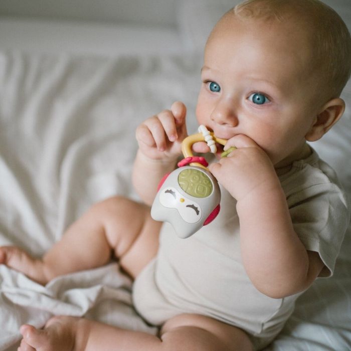 Bērnu grabulītis  Babyono "OWL"