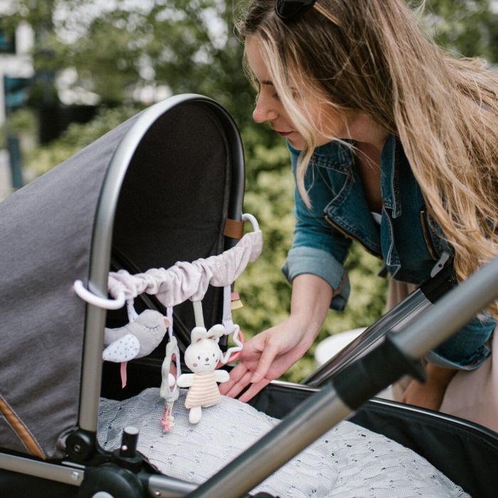 Rotaļlieta ratiņiem/krēsiņam "Nature"