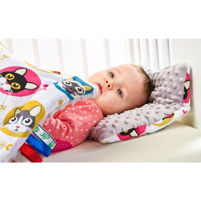 Komplekts "Minky cat" 100x75cm un spilvens "tauriņš"