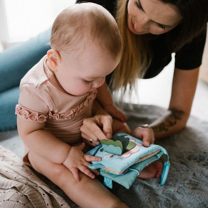 Mīkstā grāmatiņa  "Fish"