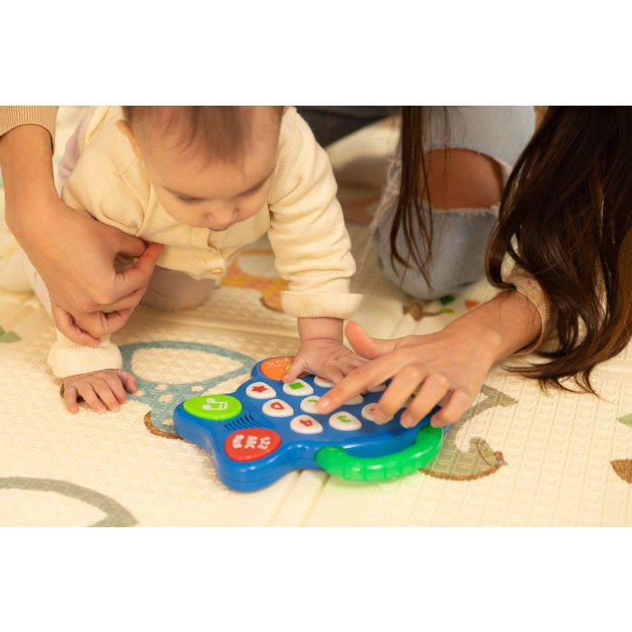 Izglītojoša rotaļlieta "Fish"