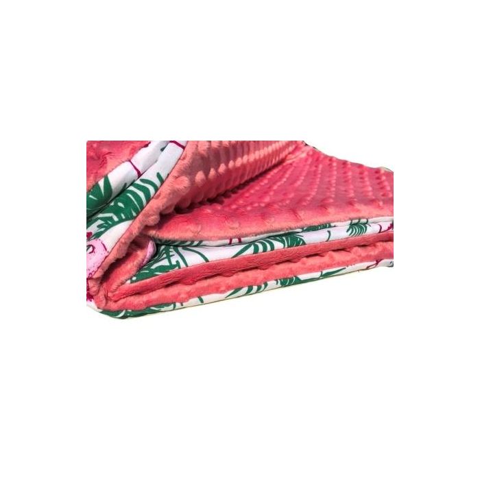 pledas su flamingais